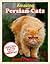 AMAZING PERSIAN CATS: A Children's Book about Persian Cats Facts, Figures and Pictures: (Dog Books For Kids)