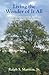 Living the Wonder of It All by Ralph S. Marston Jr.