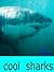 Cool Sharks - Learn Cool Fa...