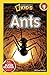 Ants by Melissa Stewart