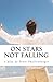 On Stars Not Falling by Scott Shallenbarger