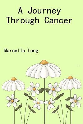 A Journey Through Cancer