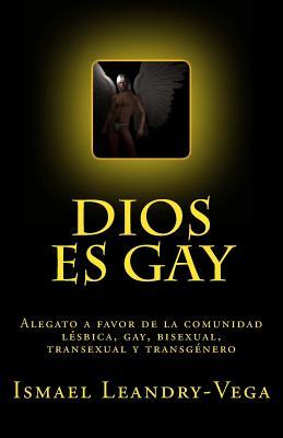 Dios es gay: Alegato a favor de la comunidad lésbica, gay, bisexual, transexual y transgénero (Spanish Edition)