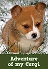 Adventure of my Corgi (A Learn to Read Picture Book for Kids)... by Dp Publishing