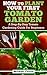 How To Plant Your First Tomato Garden