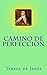 Camino de perfeccion (Spanish Edition)