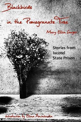 Blackbirds in the Pomegranate Tree: Stories from Ixcotel State Prison (Paperback)