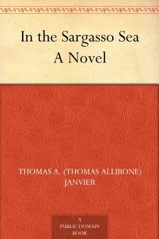 In the Sargasso Sea A Novel (Kindle Edition)