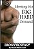 Meeting His Big Hard Demand (Ebony Ecstasy Book 6)
