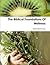 The Biblical Foundations Of...