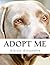 Adopt Me: A House is Not a ...