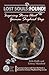 Lost Souls: FOUND! Inspiring Stories About German Shepherd Dogs