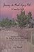 Journey in the Mind's eye of a Poet: A Search for Faith: Book Three (2007-2008) The Book of the Lost and Found or Chasing Rainbows
