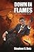 Down in Flames by Stephen R. Datz