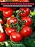 How to Grow Tasty Tomatoes: Best practices for planting seeds, dealing with diseases and growing amazing tomatoes