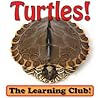 Turtles! Learn About Turtles And Learn To Read - The Learning Club! (45+ Photos of Turtles)