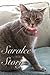 Saralee's Story by Barbara Kate Repa