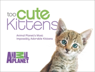 Too Cute Kittens: Animal Planet's Most Impossibly Adorable Kittens