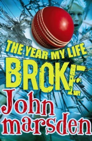The Year My Life Broke (Paperback)