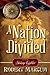 A Nation Divided, Vol. 1 by Robert Marcum