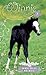 Friendly Foal by Dandi Daley Mackall Friendly Foal by Dandi Daley Mackall