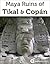 Maya Ruins of Tikal & Copan...