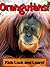 Orangutans! Learn About Orangutans and Enjoy Colorful Pictures - Look and Learn! (50+ Photos of Orangutans)