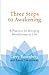 Three Steps to Awakening: A Practice for Bringing Mindfulness to Life