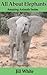 All About Elephants: Fun Facts and Beautiful Pictures for Kids (Amazing Animals)