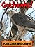 Goshawks! Learn About Goshawks and Enjoy Colorful Pictures - Look and Learn! (50+ Photos of Goshawks)