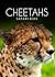 Cheetahs (Safari Kids)