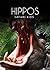 Hippos (Safari Kids)