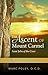 The Ascent of Mount Carmel: Reflections