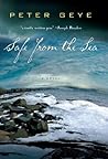 Safe from the Sea