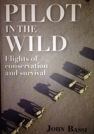Pilot in the Wild (Paperback)