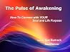 The Pulse of Awakening by Sue Rumack, SoulDancer