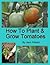 How to Plant and Grow Tomatoes by Jack  Pollard