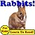 Rabbits! Learn About Rabbits While Learning To Read - Rabbit Photos And Facts Make It Easy! (Over 45+ Photos of Rabbits)