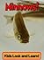 Minnows! Learn About Minnows and Enjoy Colorful Pictures - Look and Learn! (50+ Photos of Minnows)