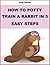 How To Potty Train a Rabbit in Five Easy Steps