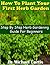 How To Plant Your First Herb Garden