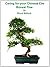 Caring For Your Chinese Elm Bonsai Tree by Bruce Bullock