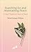 Searching for and Maintaining Peace by Jacques Philippe