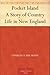 Pocket Island A Story of Country Life in New England