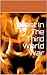Lost In The Third World War