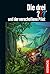 Die drei ??? und der verschollene Pilot (Die drei Fragezeichen, #162)