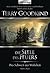 Die Seele des Feuers by Terry Goodkind