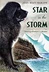 Star in the Storm