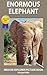 Enormous Elephant - Indoor Explorer Picture Book (Certified Silly 5)