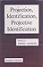 Projection, Identification, Projective Identification